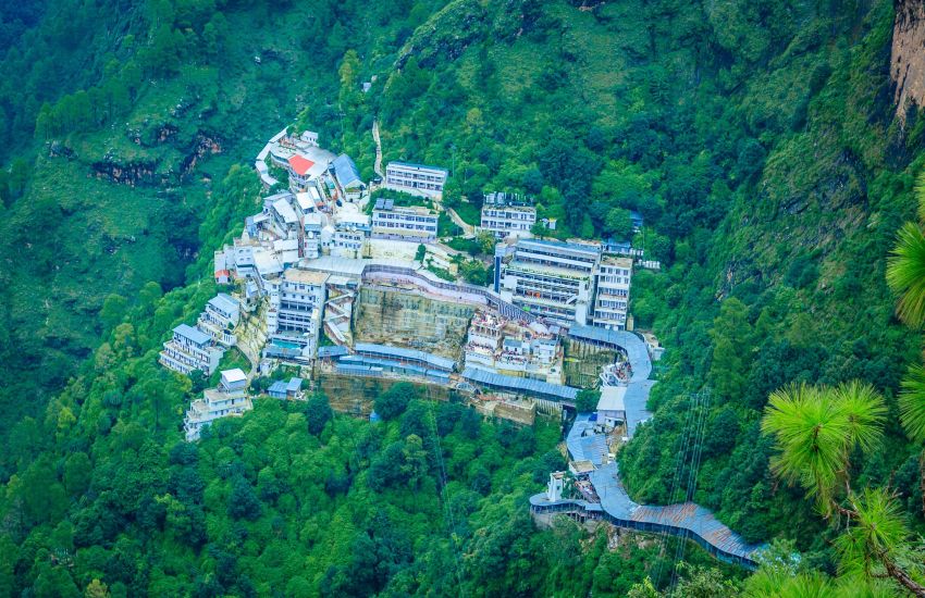 Vaishnodevii